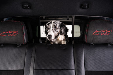 Dog Window DIY Cutout Kit Ford 2022-2025 Maverick
